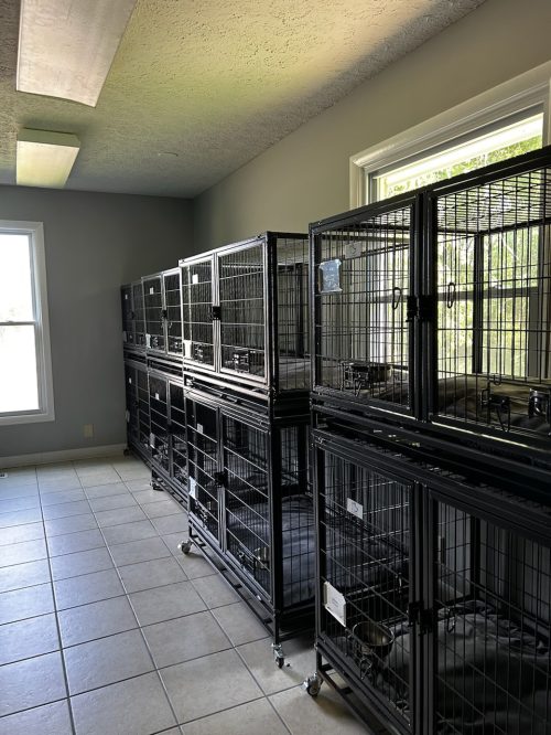 Kennel2